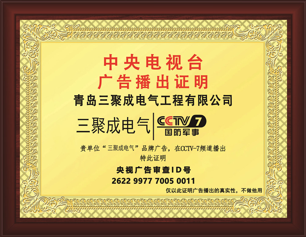 牌匾 横版播出证明_副本.jpg